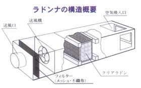 ラドンナの構造